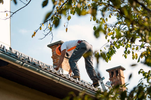 Best Metal Roofing Contractor  in Rensselaer, NY